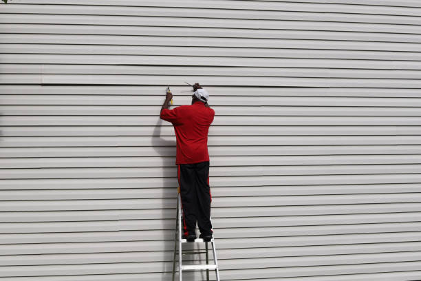 Best Vinyl Siding Installation  in Greenland, AR